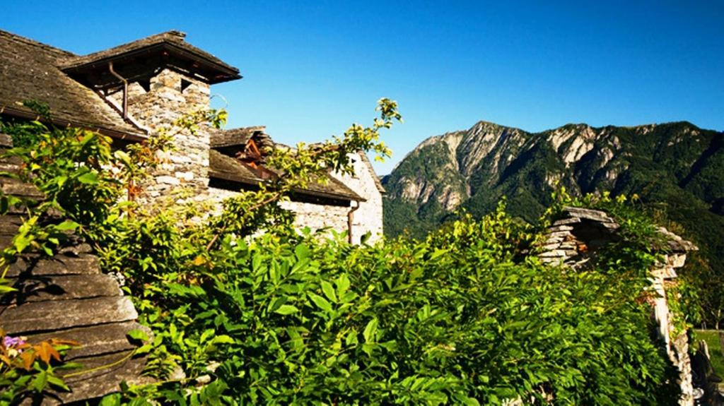 Hotel Rovere Losone