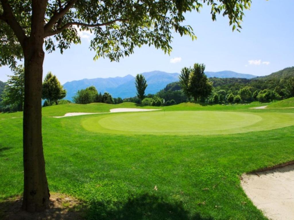 Rovere Losone
